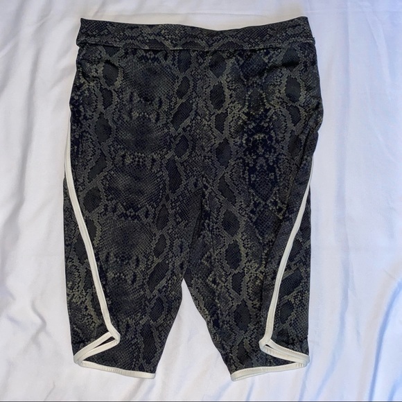 Acacia Fox Bottom Sage Python - Picture 4 of 4